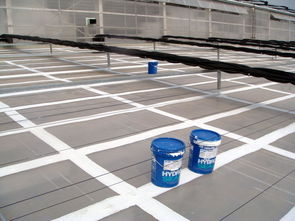 屋顶做防水用什么材料好 屋顶防水材料如何选择